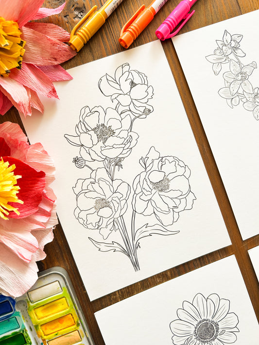 Set Postales Flores