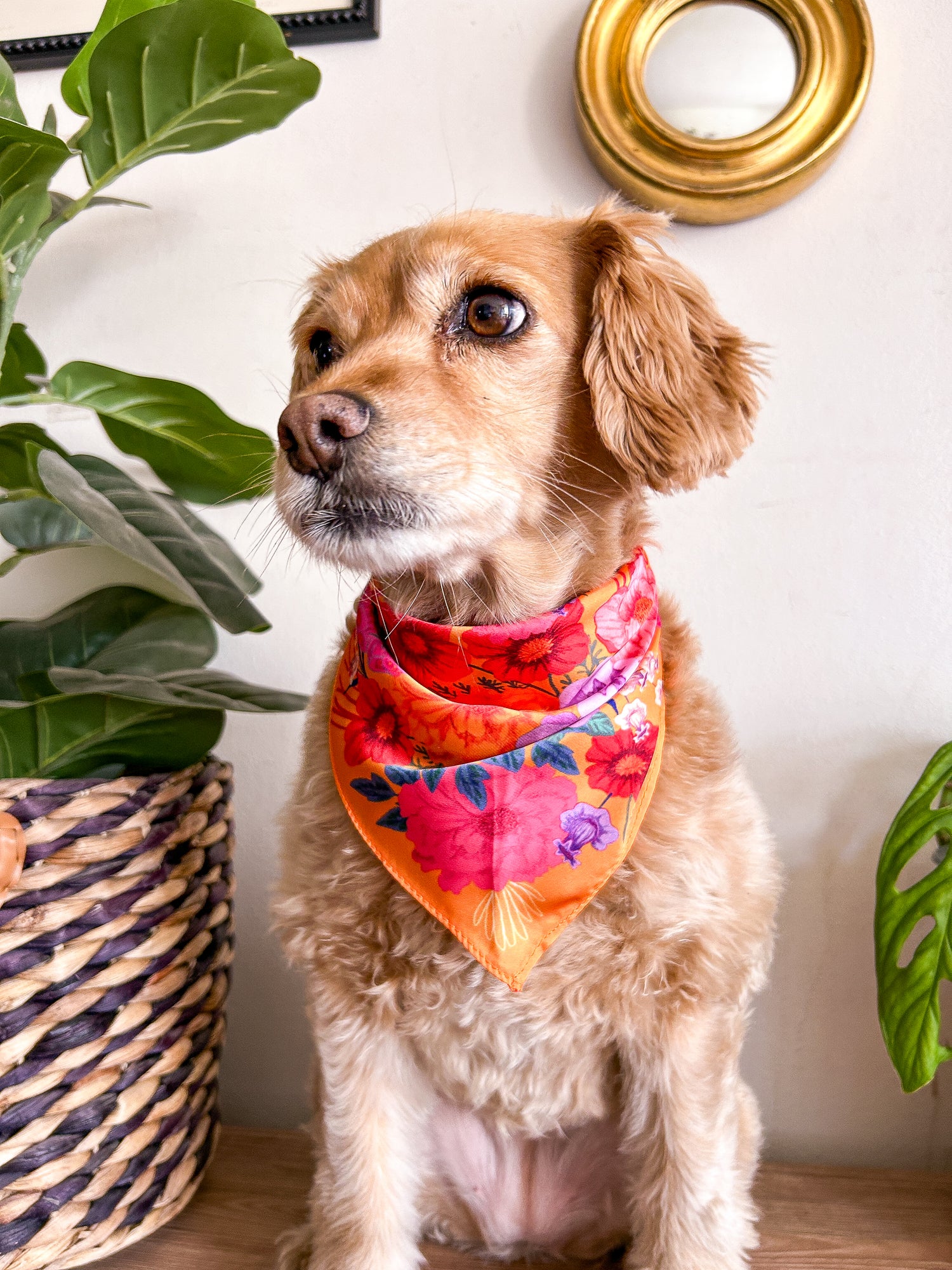 Bandanas Flora