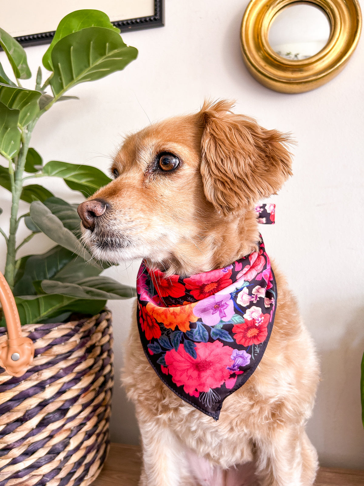 Bandanas Flora - Negro
