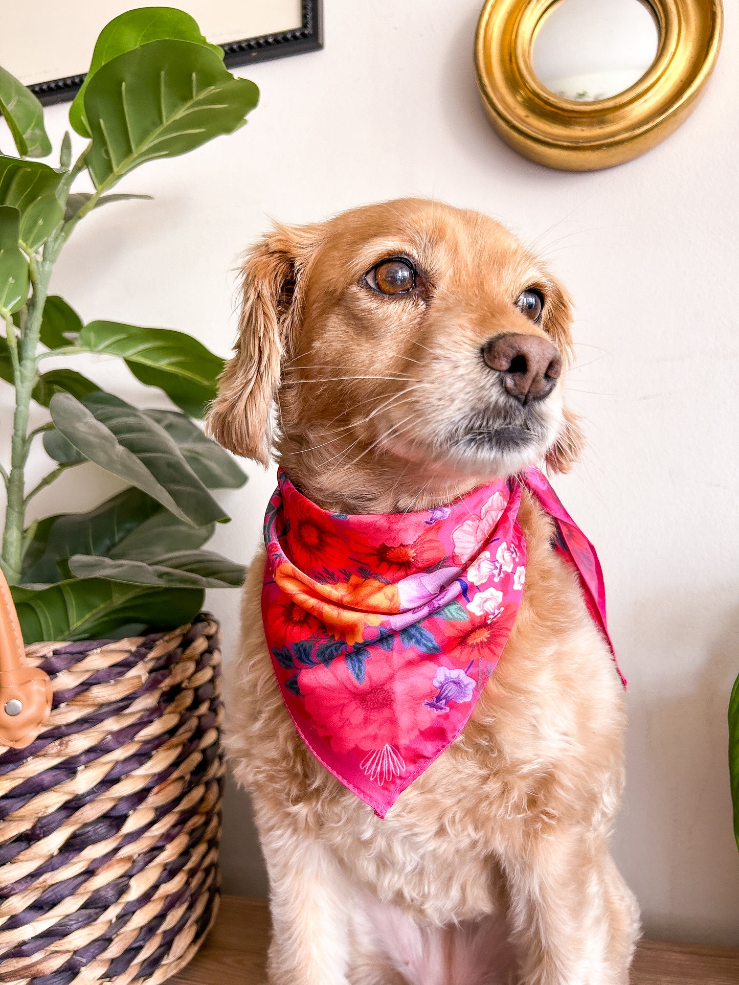 Bandanas Flora